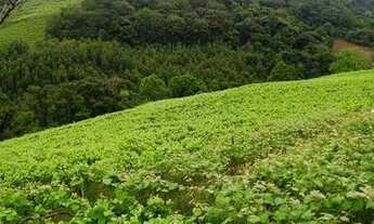 Imagem 5: Oportunidade de negócio