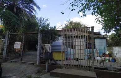 Imagem 7: Terreno para Venda - 285m², 0 dormitórios, Vila Nova, Porto Alegre