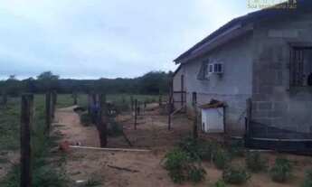 Imagem 3: Lindo sítio medindo 1400m2