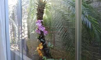 Imagem 2: Araçatuba - Casa - Amizade