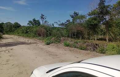 Imagem 2: 04 áreas em Santarém na Estrada de Carapanari para Venda, Santarém, Estado do Pará com 44
