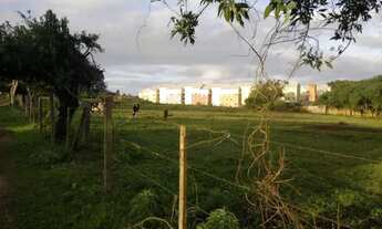 Imagem 6: Apartamento para Venda - 52m², 2 dormitórios, 1 vaga - Campo Novo