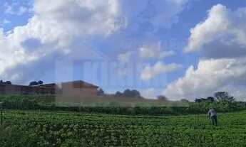 Imagem: TERRENO A VENDA NO BAIRRO BOA VISTA