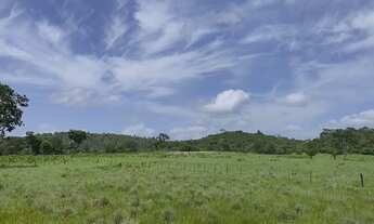 Imagem 5: Fazenda em Vargem Grande-Ma