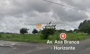 Imagem 2: Excelente terreno em Horizonte
