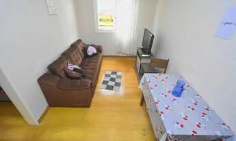 Imagem 3: Apartamento 1 quarto para aluguel Pelotas