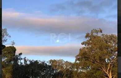 Imagem 7: Terreno para Venda - 0m², 0 dormitórios, Vila Nova