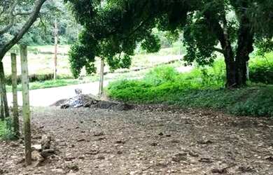 Imagem 4: Lotes Financiados Na Serra De Pacoti, 3 Minutos Do Centro, As Margens Da Ce-065, Oportunid