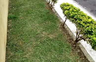 Imagem 5: Sobrado à venda aceito permuta com chácaras