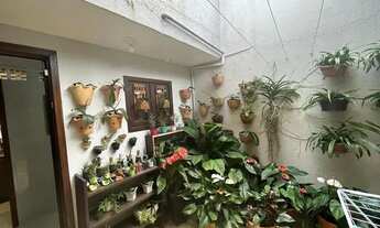 Imagem 7: Sobrado diferenciado