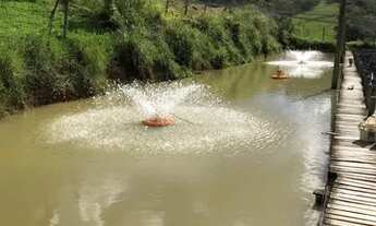 Imagem 6: Fazenda Abadiania Goiás