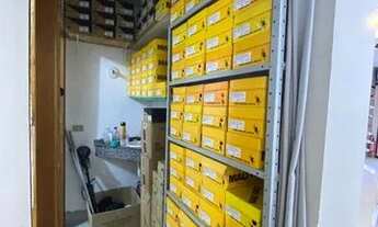 Imagem 2: Vende-se skate shop