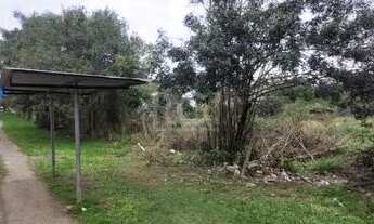 Imagem 6: Terreno para Venda - 0m², 0 dormitórios, Campo Novo