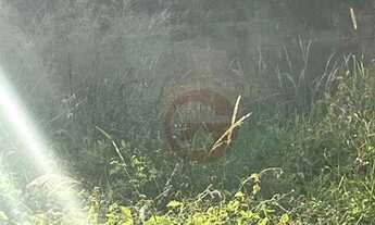 Imagem 5: Terreno à venda, 250 m² por R$ 450.000,00 - Butantã - São Paulo/SP