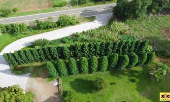 Imagem 7: Sítio / Chácara para Venda em Nova Petrópolis, Linha Olinda, 3 dormitórios, 2 banheiros, 2