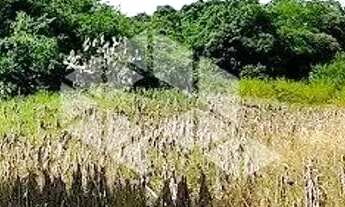 Imagem 5: Área rural em Santa Lucia Vale dos vinhedos