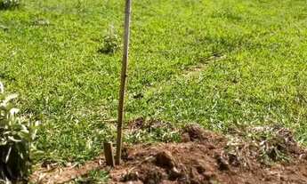 Imagem 5: Lotes com o melhor valor em Atibaia