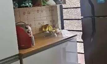 Imagem: Alugo quartos para mulheres sagrada família