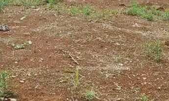 Imagem 5: Terreno à venda, por R$ 525.000 - FAG - Cascavel/PR