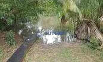 Imagem 6: Chácara com 37 Hectares em Mambaí