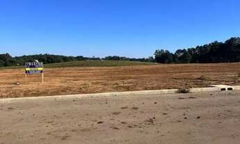 Imagem 4: Terreno Linha Palmeiro Farroupilha