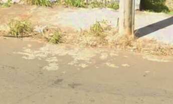 Imagem 4: ÚLTIMO LOTE NO CENTRO DE ANÁPOLIS