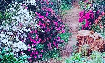 Imagem 7: Áreas,bairro Área rural