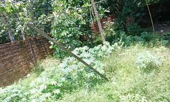 Imagem 3: VENDO COM URGÊNCIA EM OUTEIRO