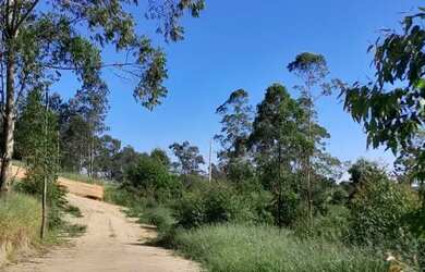 Imagem 7: Terrenos para venda possui 1000 metros quadrados em Centro (São João Novo) - São Roque - S