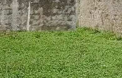 Imagem 2: Lote à venda em rua pública, MOSQUEIRO, Aracaju, SE