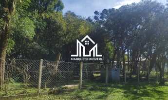 Imagem 7: Chácara em Condomínio à Venda em Tijucas do Sul/ PR