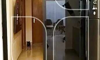 Imagem 6: Casa em Jardim Santa Antonieta - Marília