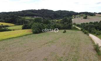 Imagem 2: Terreno / Chácara em Araucária / Thomaz Coelho