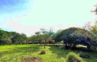 Imagem 2: Sítio à venda, 1500 m² por R$ 190.000,00 - Itacolomi - Gravataí/RS