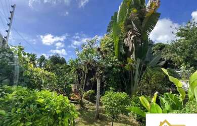 Imagem 2: Casa à venda em rua pública, JARDIM SAVOIA, Ilhéus, BA