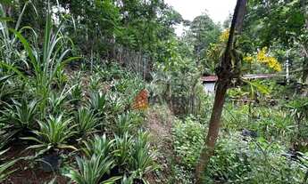 Imagem 3: Terreno à Venda, 1000 m² por R$ 625.000