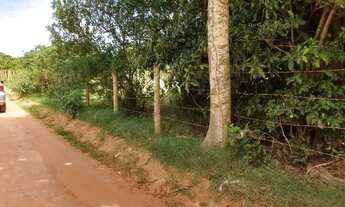 Imagem 5: Terreno em Grussaí