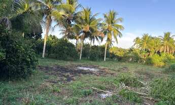 Imagem 5: Terreno pra sítio