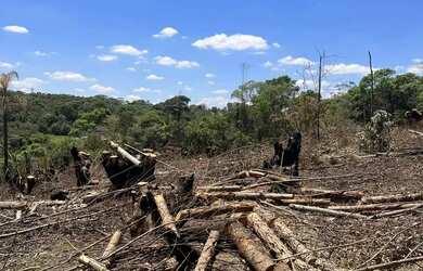 Imagem 3: Condições Imperdíveis: Terreno de 500m² à Venda em Ibiúna