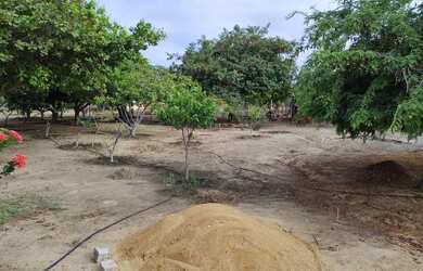 Imagem 4: Linda Chácara em Petrolina PE