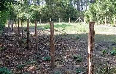 Imagem 7: VENDE-SE EXCELENTE TERRENO RIO PRETO EVA - PROX. RODOVIA AM 010