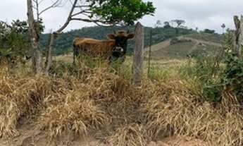 Imagem 7: E03-Terreno em Jacareí / agende já sua visita