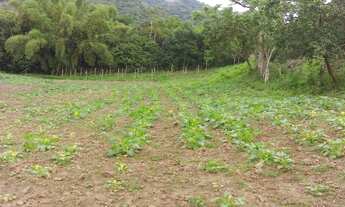 Imagem 2: Sítio no Vale do Ribeira