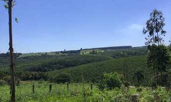 Imagem 3: Área de terra em Tibagi