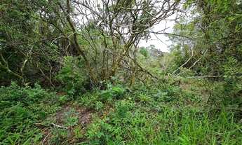 Imagem 6: Lote/Terreno para venda com 697 metros quadrados em Araçatuba - Imbituba - SC