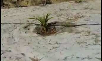 Imagem 2: Terreno Terreno / lote com venda por R$40.000