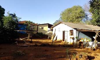 Imagem 7: Chácara / sítio Jaraguari bom fim asfalto 31ha