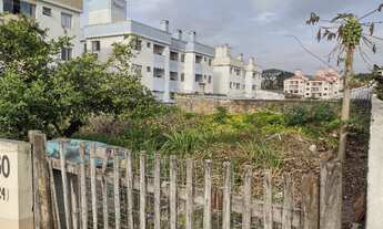 Imagem 3: Alugo lote de 16 x 24m (384m²) em Serrarias/SJ a 200m da BR-101 Km 200