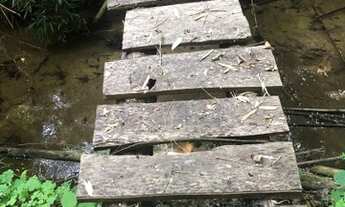 Imagem 5: Área de terra em Tibagi