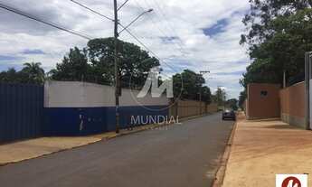 Imagem 3: Salão/Galpão (salão - térreo